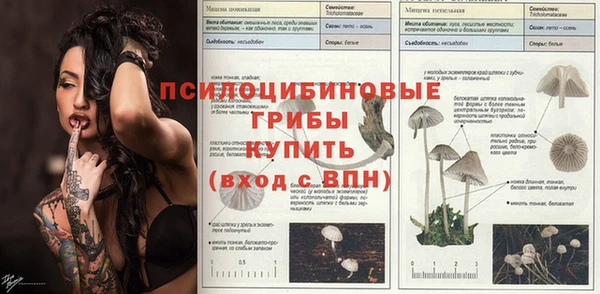 ГАЛЛЮЦИНОГЕННЫЕ ГРИБЫ Верхнеуральск
